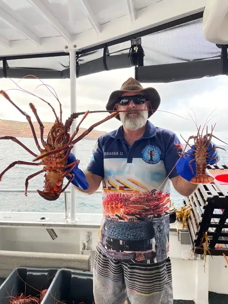 Unusual Things To Do in Kalbarri 13 This image shows a man on a boat holding two large lobsters, likely from a lobster pot pull tour. The man is wearing a wide-brimmed hat, sunglasses, and a shirt featuring lobsters, while blue gloves protect his hands. Behind him, the ocean stretches out with distant land visible on the horizon. The setting suggests an outdoor fishing or seafood-catching experience, with crates and equipment in the background contributing to the fishing activity.