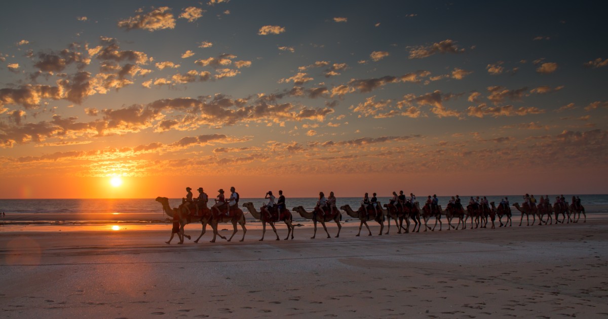 camel rides on cable beach broome