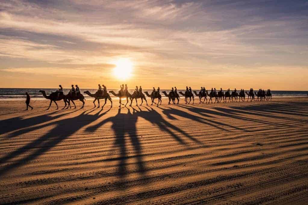 Red Sun Camel Review 2026: Cable Beach Broome 1 camels on the beach at sunset
