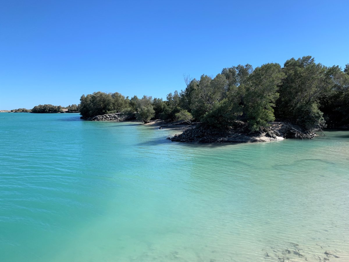 the stunning willie creek with rurquoise water and mangroves