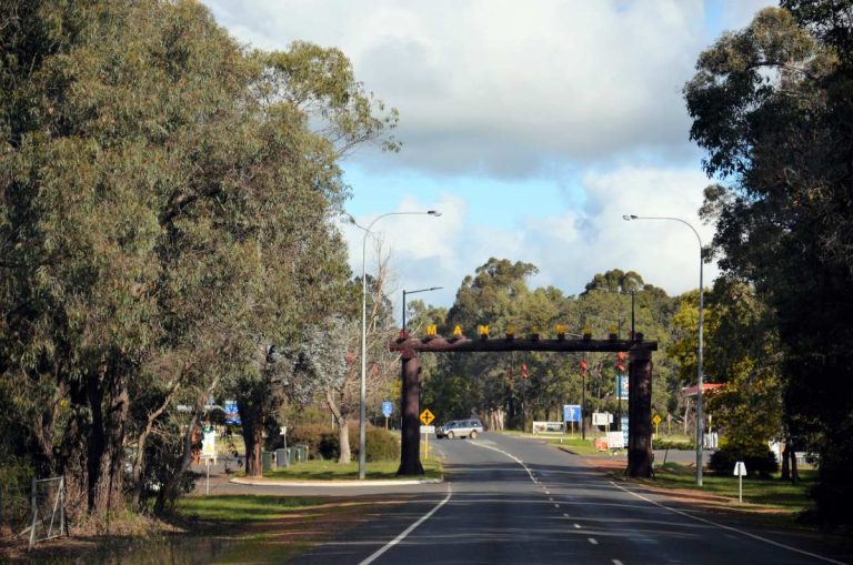 Manjimup Locals Guide + Things To Do 2023