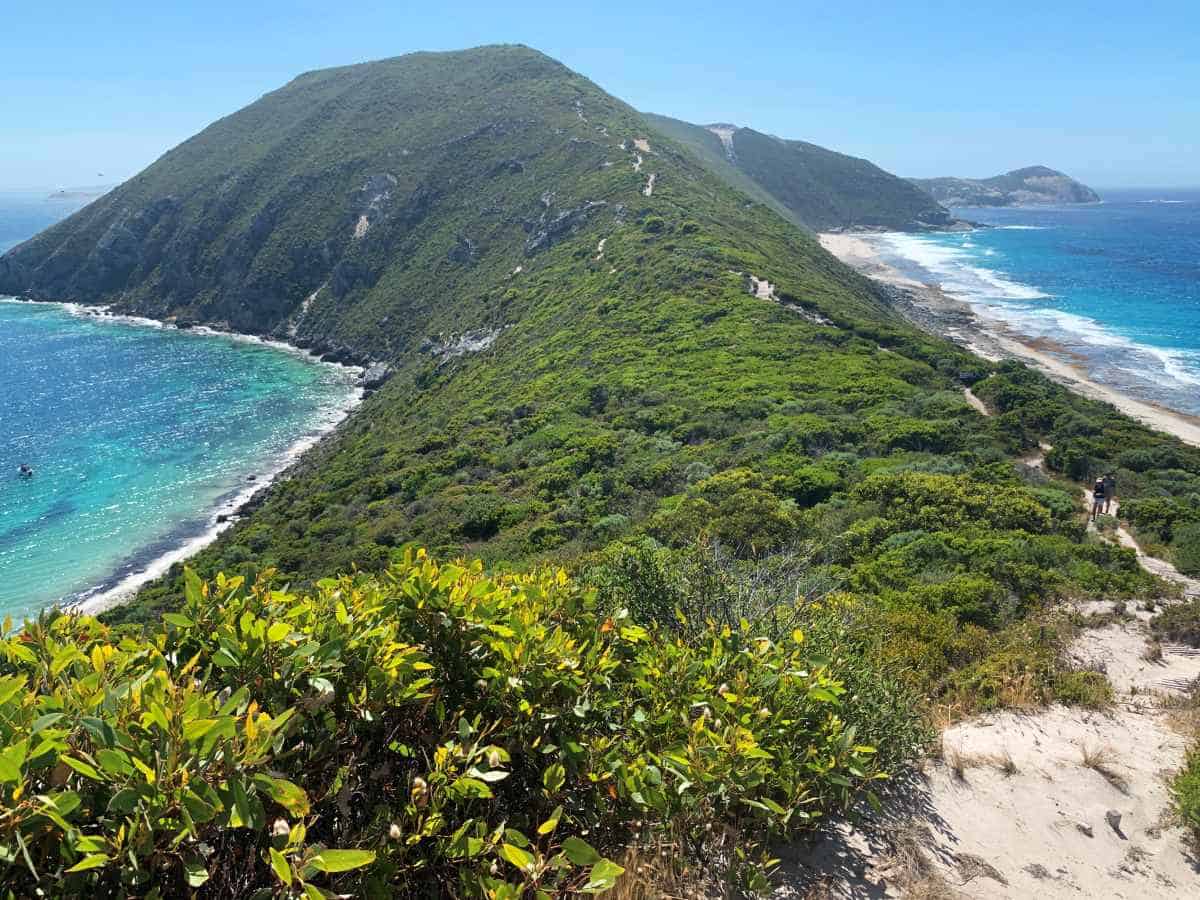 a trail leading high up a large hill on a peninsula with stunning beaches either side