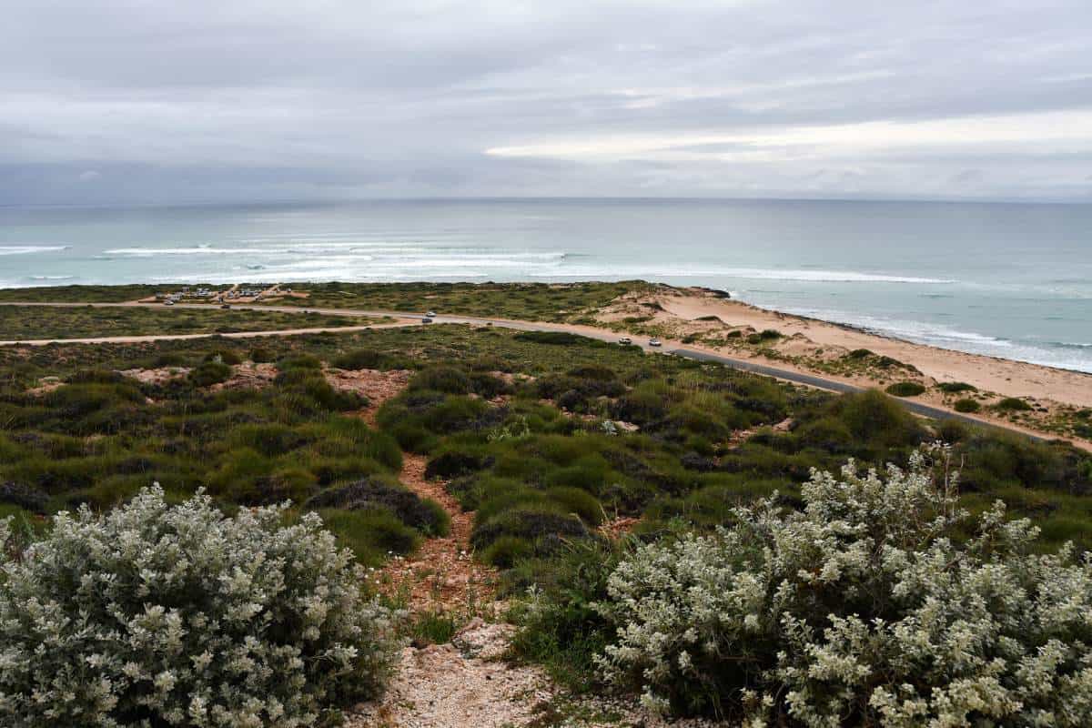 coastline with green bushes and red roads