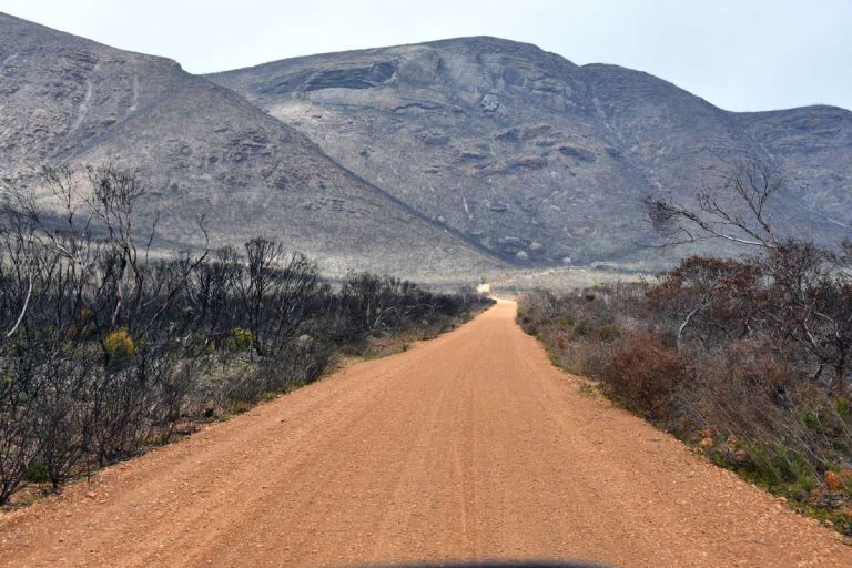 Western Australia Road Trip Tips 3 a red dirt gravel road to mount trio
