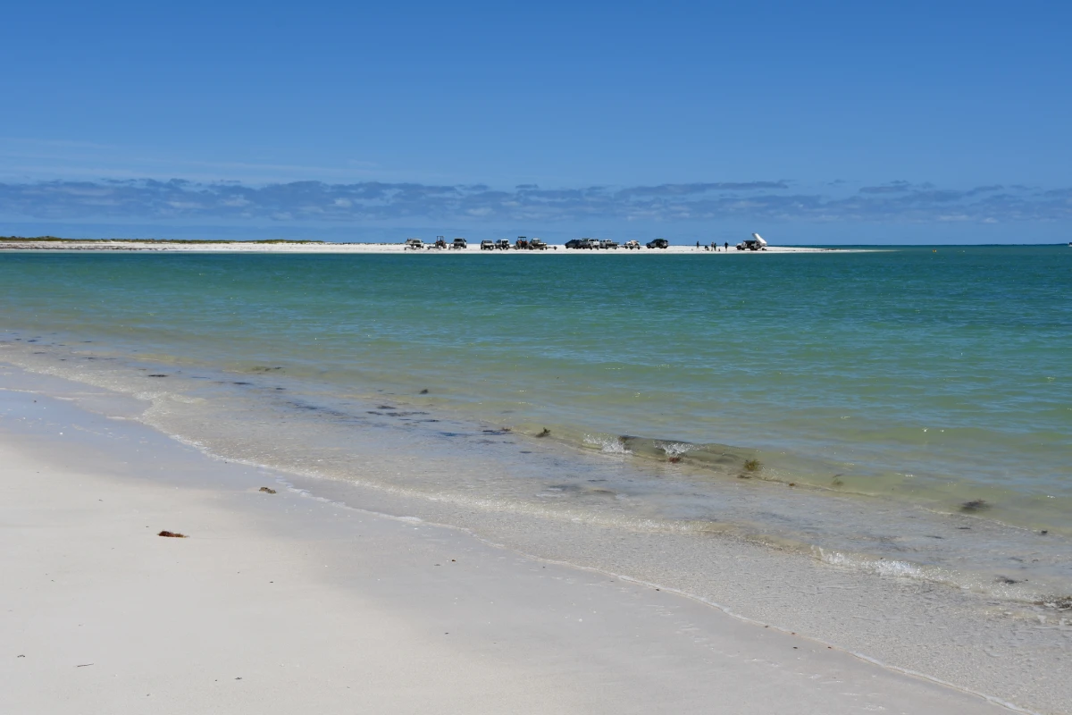 white sand beach with clear blue water and 4wd vehicles parked on the beach in the distance