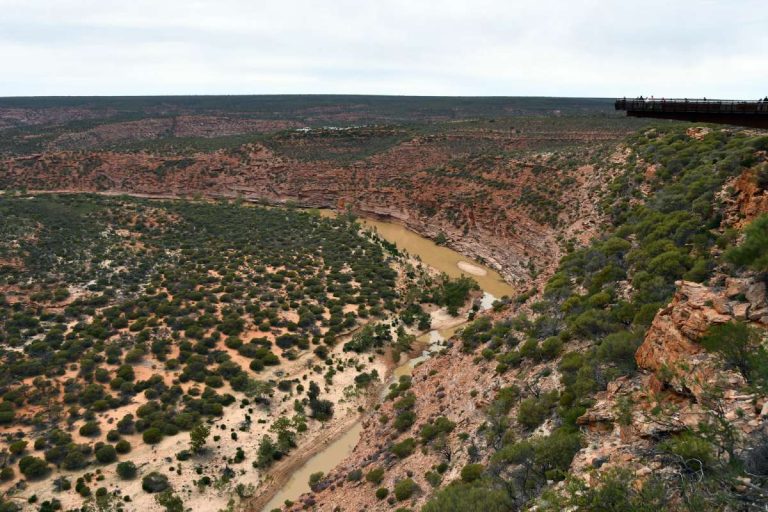 view of murchison gorge from above at kalbarri sky walk