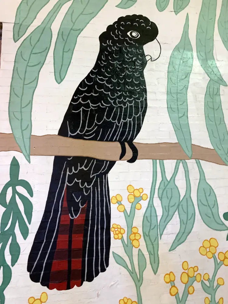 street art mural of a red tail black cockatoo sitting on a tree branch with green leaves and yellow flowers