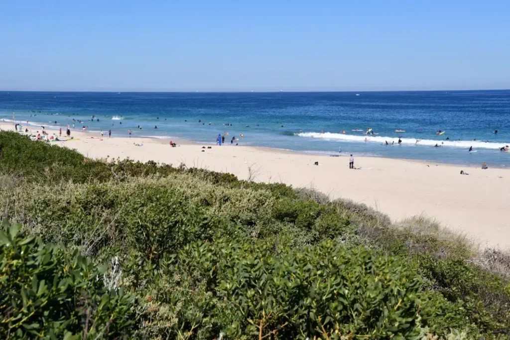 surfers in the blue ocean at Trigg Beach perth wa