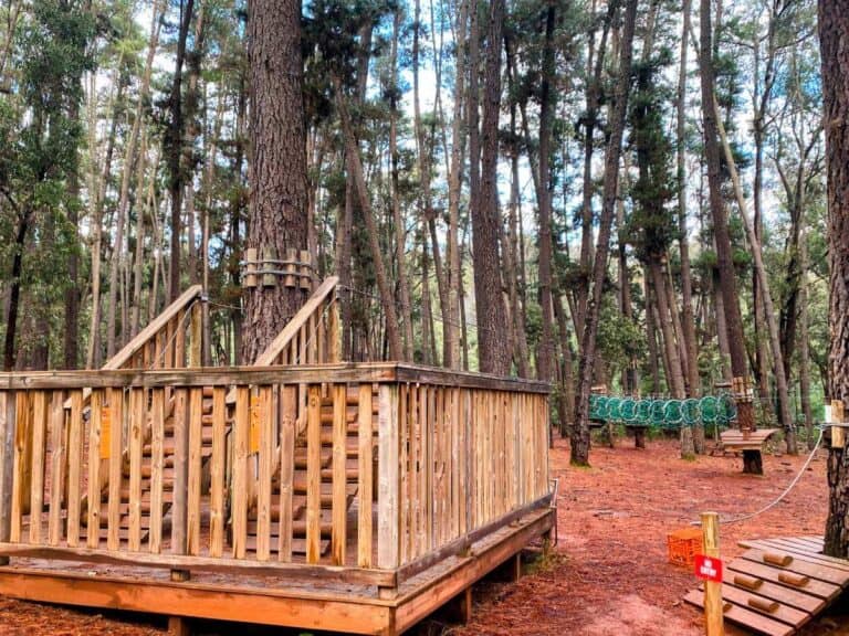 view of the wooden platforms at treetops adventure park dwellingup