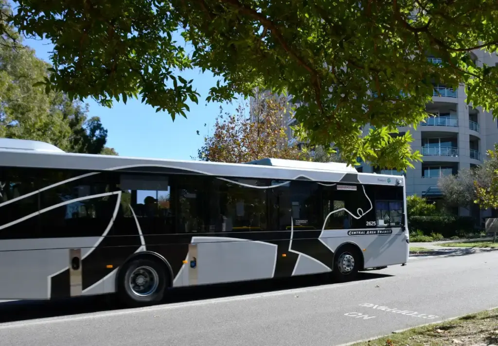 the free cat bus in east perth