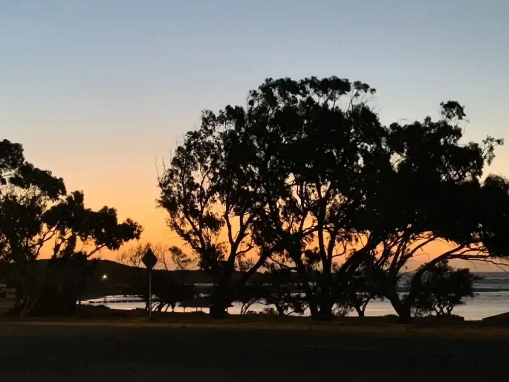 The Best Kalbarri Restaurants, Bars, and Cafes: My Guide for 2026 21 Silhouetted trees along the coastline at sunset, with a soft orange glow in the background.