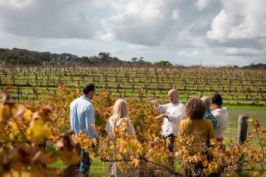 Best Wine Tours in Margaret River: Top Tours Compared (Plus Tips for Choosing the Right One) 3 tour guide from all about margaret river talking to people in a vineyard