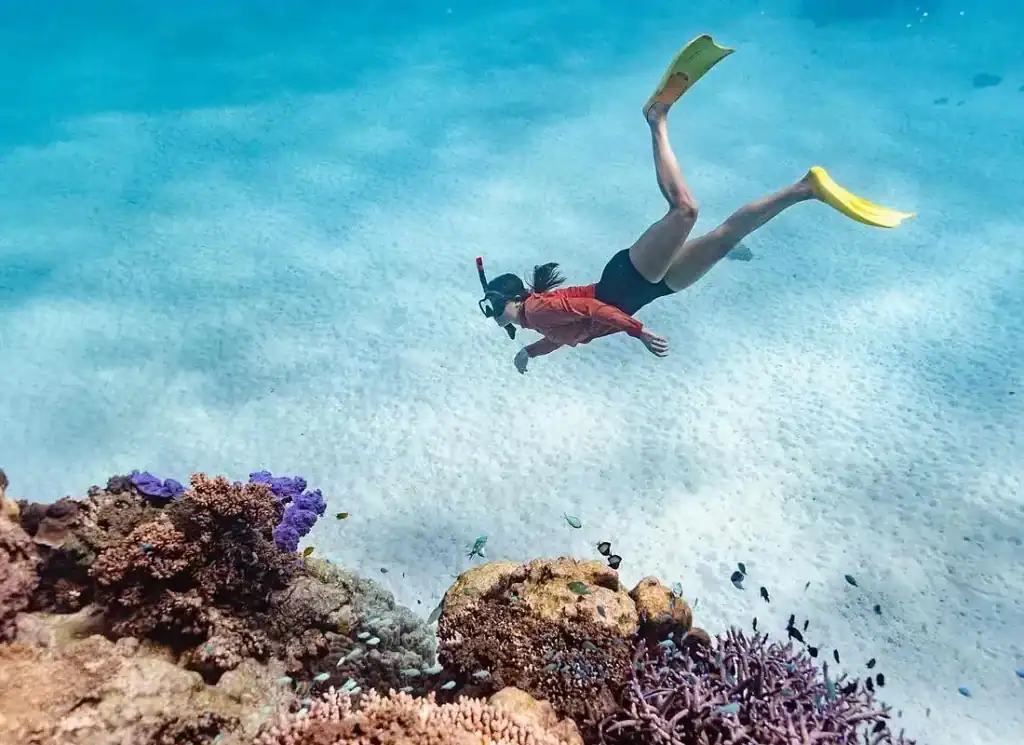 Best Snorkelling Tours in Exmouth (Honest Comparison + What to Book) 2 snorkeller viewing coral on ningaloo reef