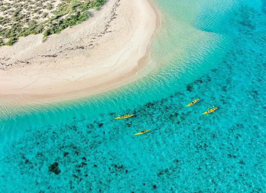 Best Ningaloo Reef Tours: Whale Sharks, Snorkelling & Reef Cruises 3 Aerial view of ningaloo reef lagoon with snorkellers in yellow kayaks