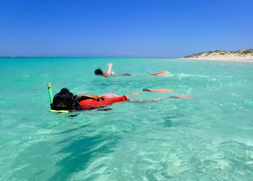 Best Snorkelling Tours in Exmouth (Honest Comparison + What to Book) 6 snorkellers in the clear lagoon on ningaloo reef exmouth